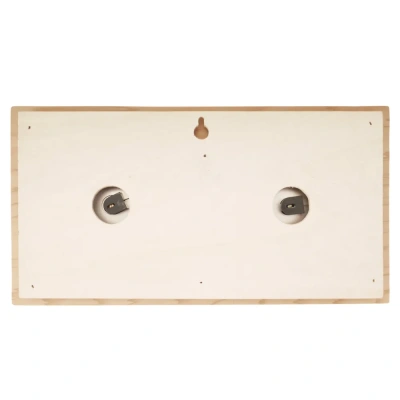 Термогигрометр EVEREST горизонталь, кедр (TG-04 white)